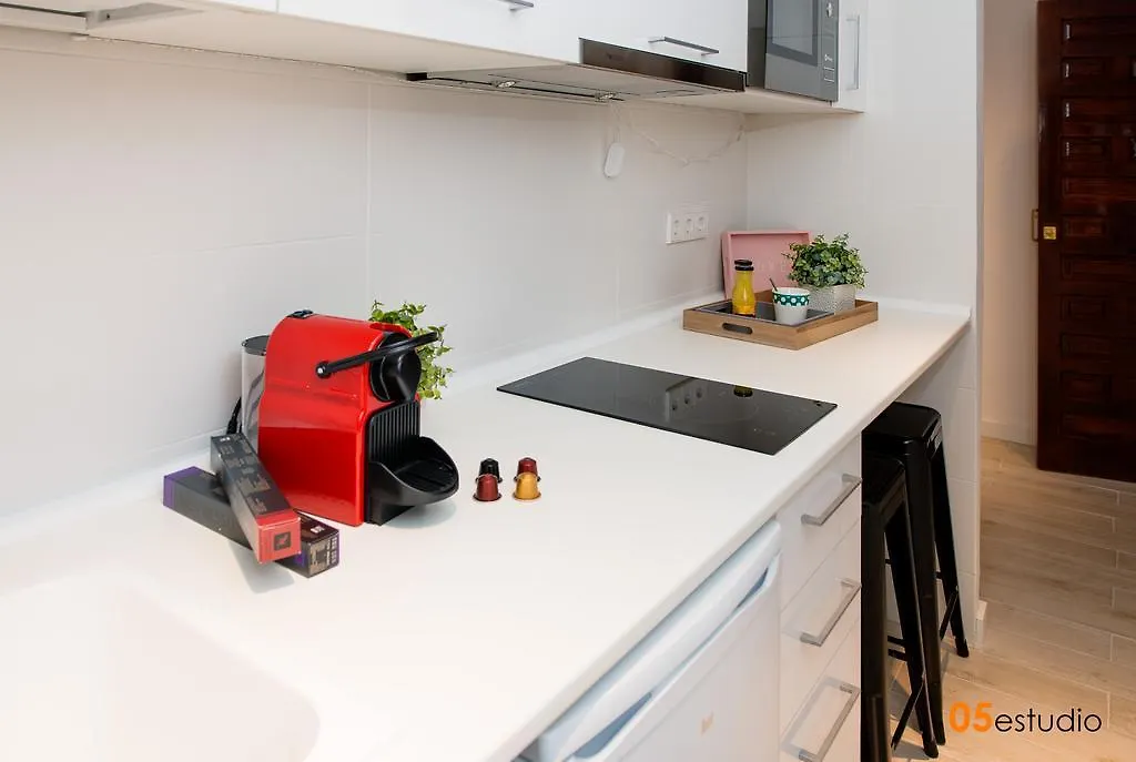 Petrus Apartment By Toledo Ap Spanien